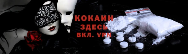 соль ск Алексин