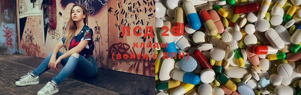 ПСИЛОЦИБИНОВЫЕ ГРИБЫ Абаза